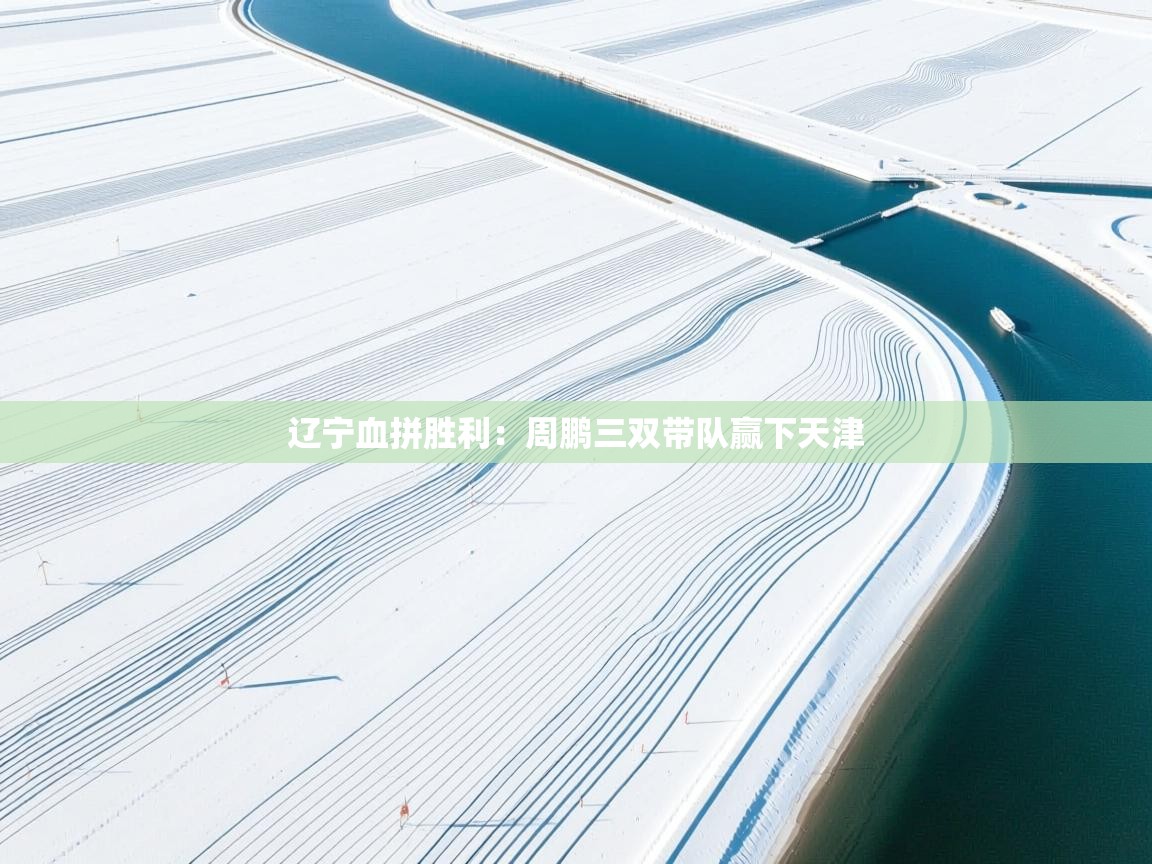 辽宁血拼胜利：周鹏三双带队赢下天津