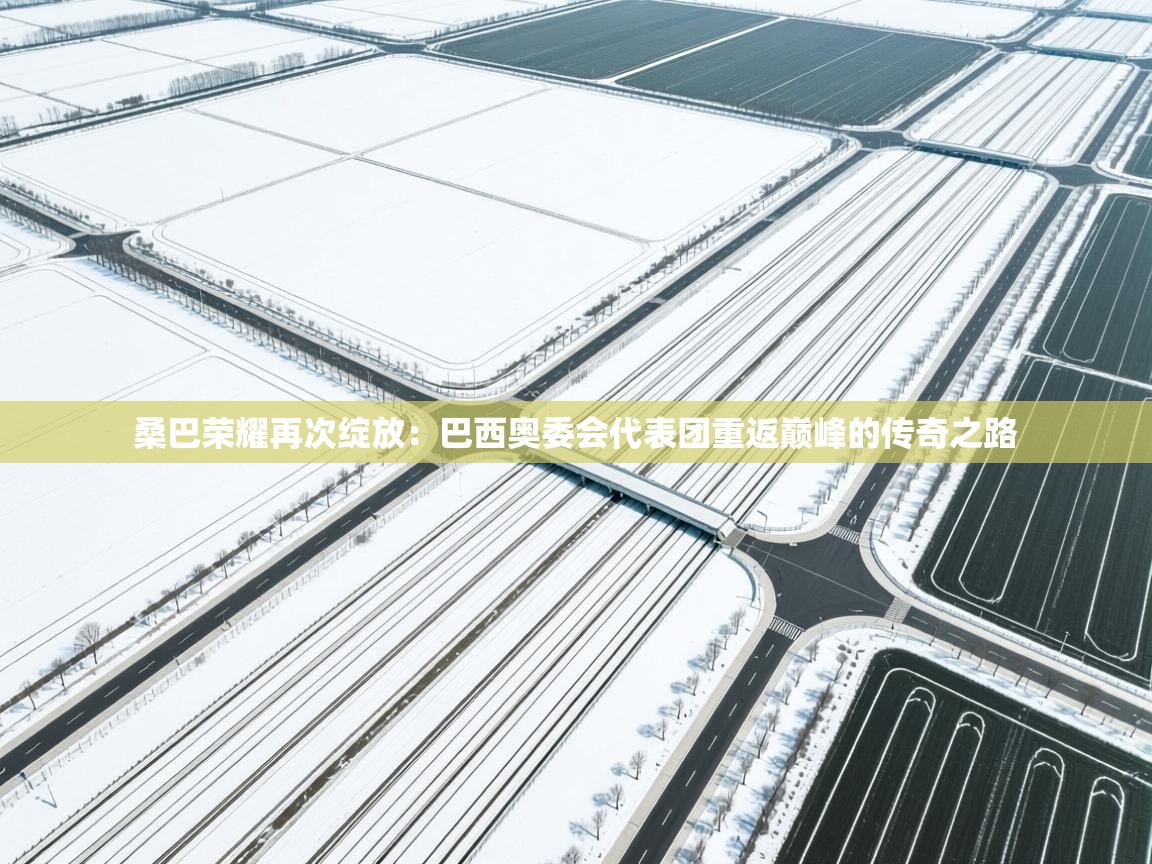 桑巴荣耀再次绽放：巴西奥委会代表团重返巅峰的传奇之路