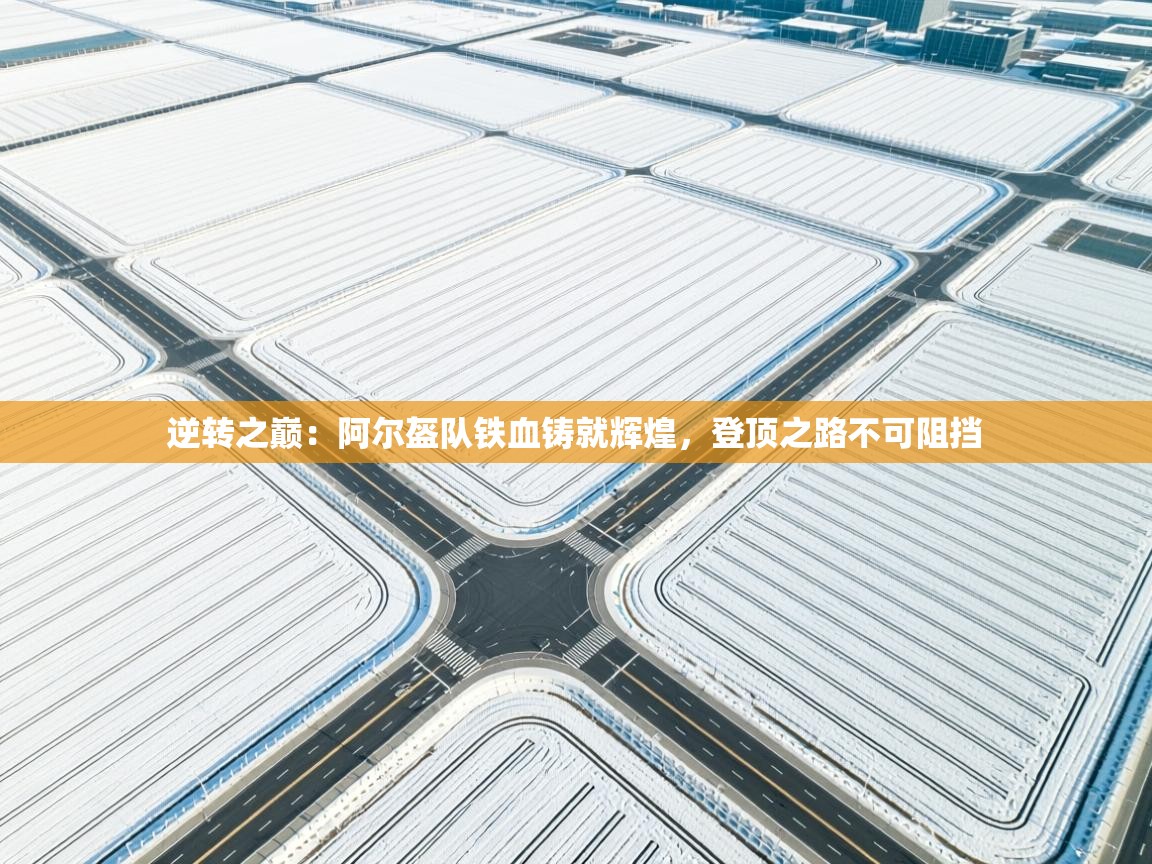 逆转之巅:阿尔盔队铁血铸就辉煌,登顶之路不可阻挡 第2张