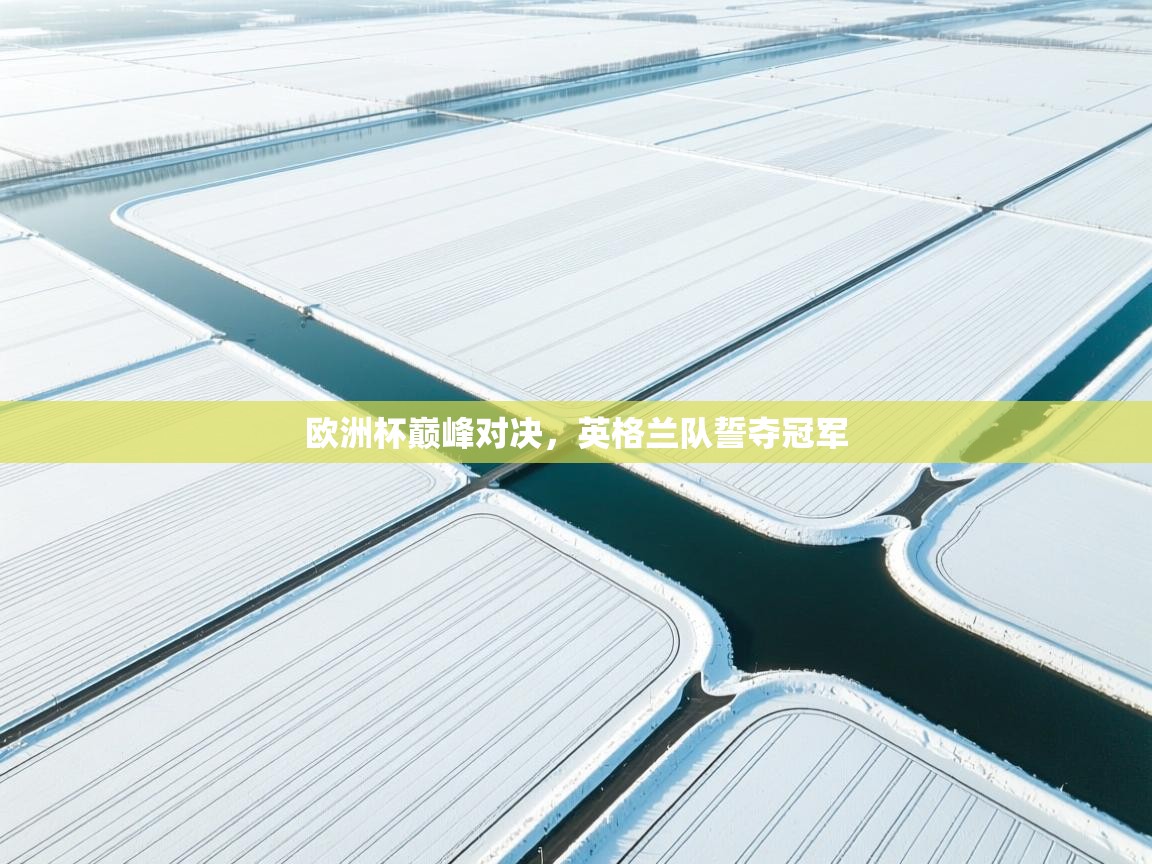 欧洲杯巅峰对决，英格兰队誓夺冠军