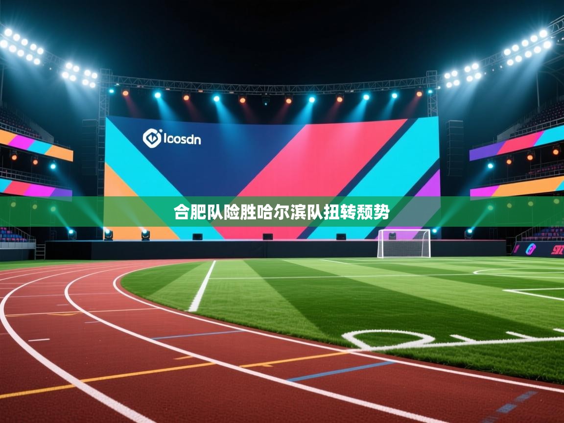 合肥队险胜哈尔滨队扭转颓势